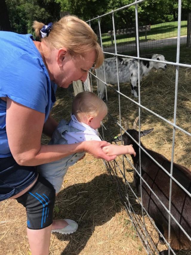 Personalized Adoption Services